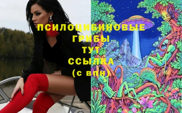 альфа пвп Краснослободск