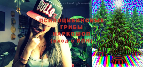 прущие грибы Рославль