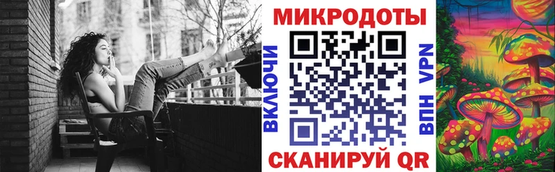 Псилоцибиновые грибы GOLDEN TEACHER  маркетплейс какой сайт  Стародуб 